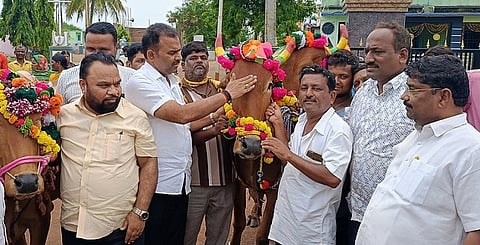 bakchodi
