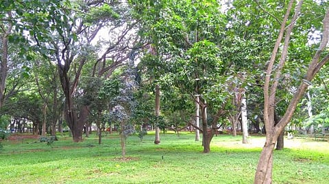 bbmp park