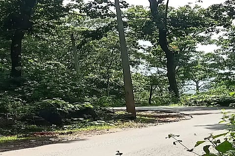 bhr 2 (2)