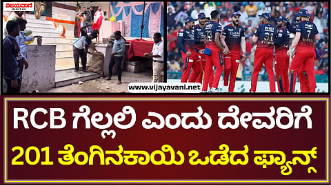 RCB Fans