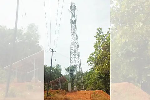 gan (5)