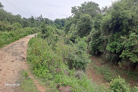 harangi