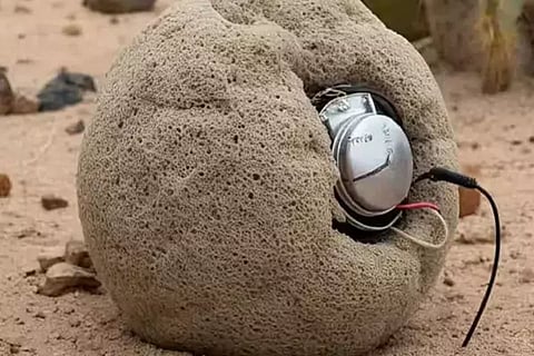 Israel Sponge Bomb