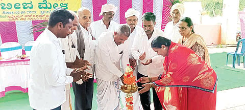 jun 2 kottur 01