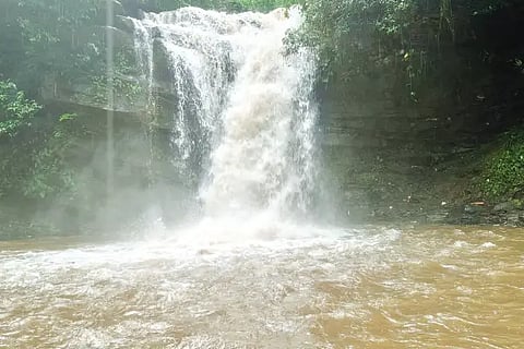 kls4