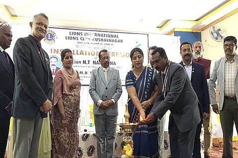 lions
