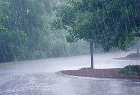 rain
