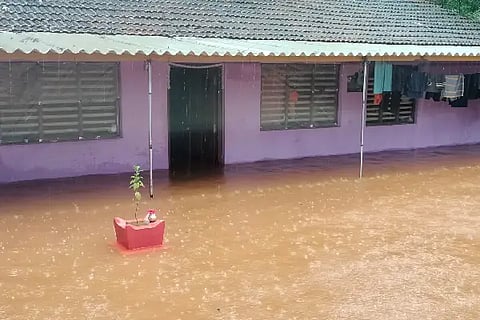 rain