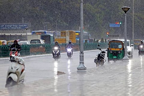 rain