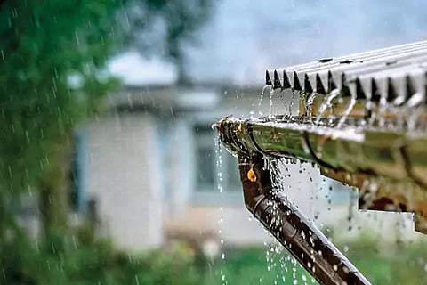 Rainwater harvesting