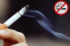tabacco day