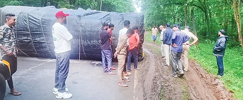 10 ylp 01 (lari)