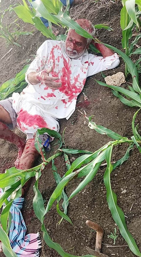 Bear attacks farmer