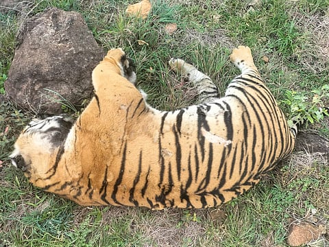 12Rajesh6