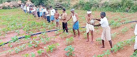 ಗುರುಗುಂಟಾ ಸಮೀಪದ ಗೌಡೂರು ತಾಂಡಾದ ರೈತರು ಗ್ರಾಮದ ಊರಭಾವಿಯಿಂದ ದೇವಸ್ಥಾನದ ವರೆಗೂ ಸಾಲಿನಲ್ಲಿ ನಿಂತು 101 ಕೊಡ ನೀರಿನಿಂದ ದುರ್ಗಾದೇವಿ ಮೂರ್ತಿಗೆ ಜಲಾಭಿಷೇಕಕ್ಕೆ ತಯಾರಿ ನಡೆಸಿದರು. ಪ್ರಮುಖರಾದ ಶಿವಪ್ಪ, ಗುಂಡಪ್ಪ, ಕಾಂತಪ್ಪ, ಅಮರಪ್ಪ ಉದ್ದಾರ, ಲಾಲಪ್ಪ ಟೈಲರ್, ಚಂದ್ರು ಬಡಿಗೇರ್ ಇತರರಿದ್ದರು.