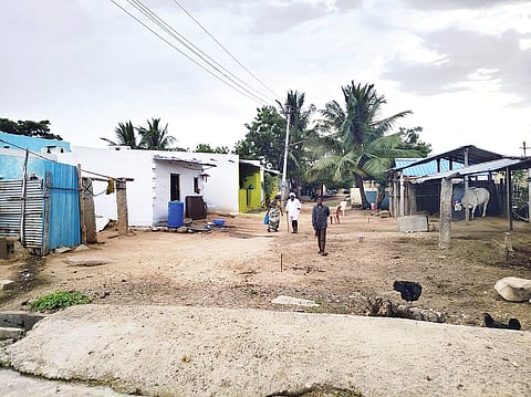 Asylum Scheme