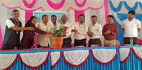 20kurugodu01