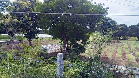 21 MBL 01
