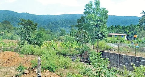21sirsi1