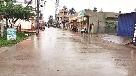 24 HNP Rain