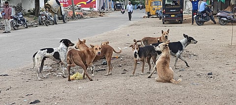 raichur