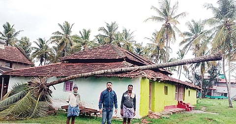 ಅರಕಲಗೂಡಿನಲ್ಲಿ ಜಿಟಿಜಿಟಿ ಮಳೆ