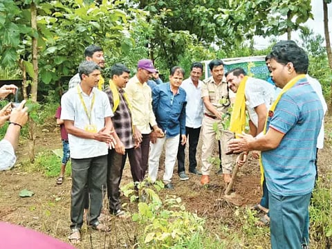 29 skp 4