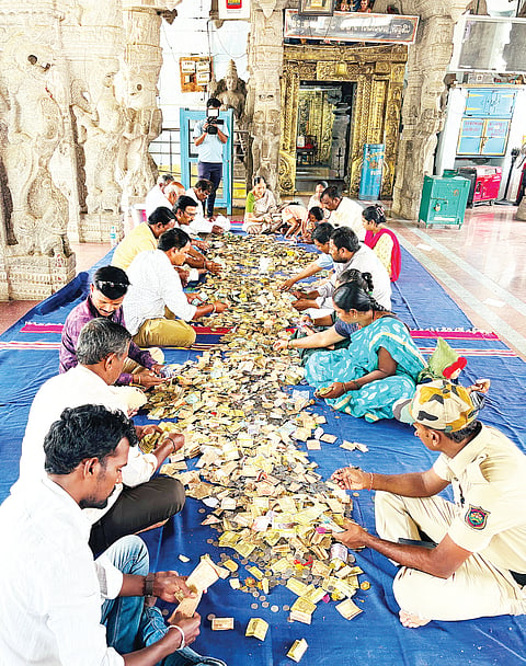 counting hundi money