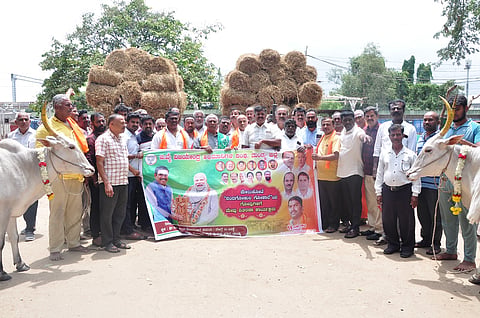 Distribution of fodder to cows Mandya