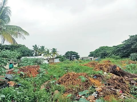 Government primary school condition is a mess.