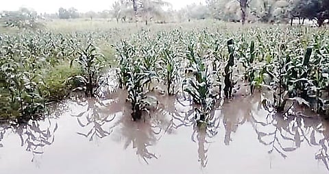 ತಾರಕ ಭರ್ತಿಗೆ ಮೂರು ಅಡಿ ಬಾಕಿ