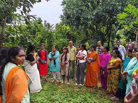 Implementation of National Natural Agriculture Campaign Mandya