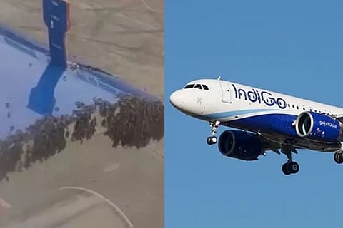 Indigo