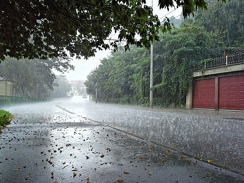 Rain