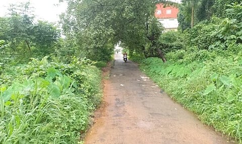 Road Lead