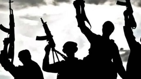 Terrorista image