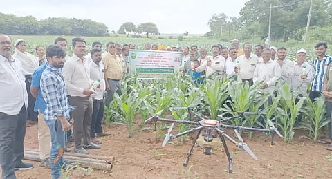 The use of nano urea is essential.