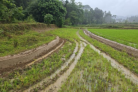 agri