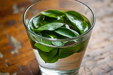 curry leaves water