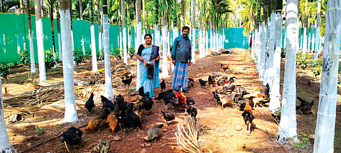 hnl 1 . pragati mahile july