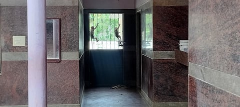oplus_2