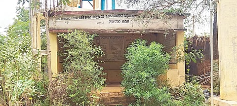 ಕೊಟ್ಟೂರು ತಾಲೂಕಿನ ಚಿರಬಿ ಗ್ರಾಮದಲ್ಲಿ ಪ್ರಯಾಣಿಕರ ತಂಗುದಾಣ ಗಿಡಗಳಲ್ಲಿ ಮರೆಯಾಗಿರುವುದು.