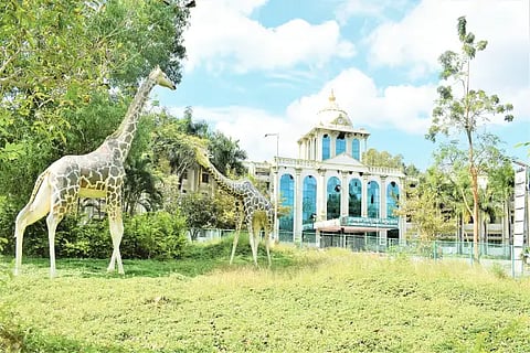 kuvempu university