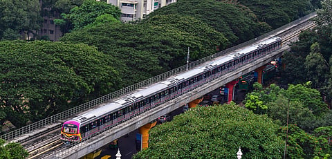 metro tree