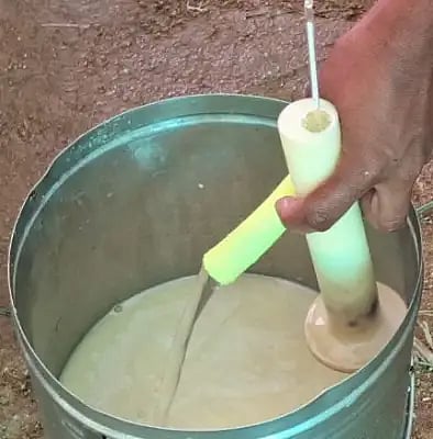 milk