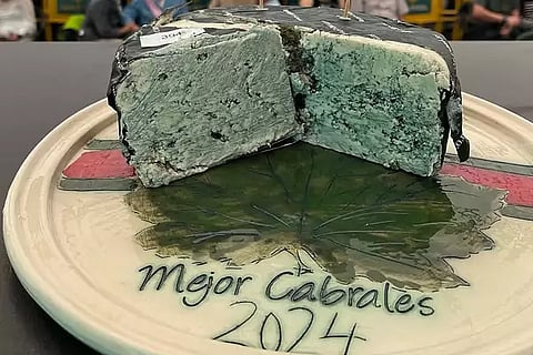 Most Expensive Cheese