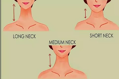 Neck