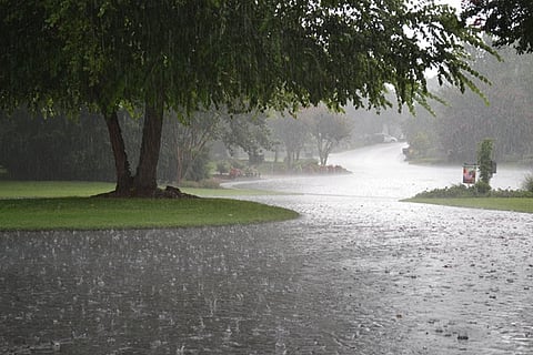 rain