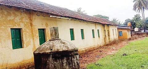 school back side gode