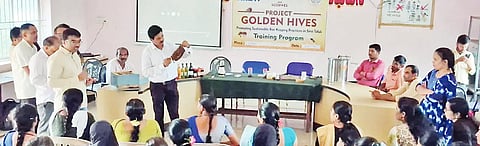 Unscientific harvesting leads to destruction of honeybee colonies
